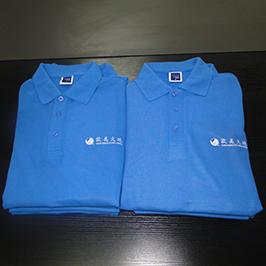 Polo marškinėliai pagal užsakymą spausdinti pagal A3 marškinėlių spausdintuvą WER-E2000T